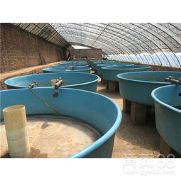 鴻碩玻璃鋼養(yǎng)殖孵化池 高效漁業(yè)孵化的現(xiàn)代化解決方案