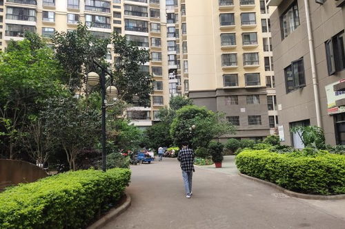 景星花園優點 不足,景星花園怎么樣,景星花園周邊房產中介經紀人評價