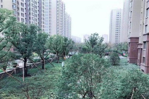 書香麗景優點 不足,書香麗景怎么樣,書香麗景周邊房產中介經紀人評價
