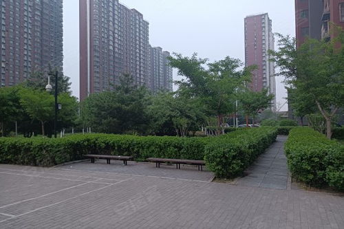 八家嘉園優點 不足,八家嘉園怎么樣,八家嘉園周邊房產中介經紀人評價